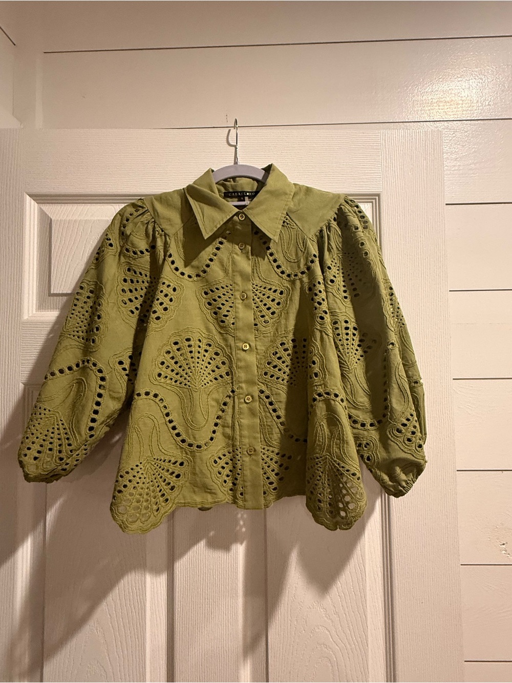 Eyelet Puff-Sleeve Button-Front Blouse in Olive Green